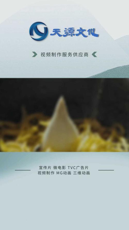 选择合适的宣传片制作公司