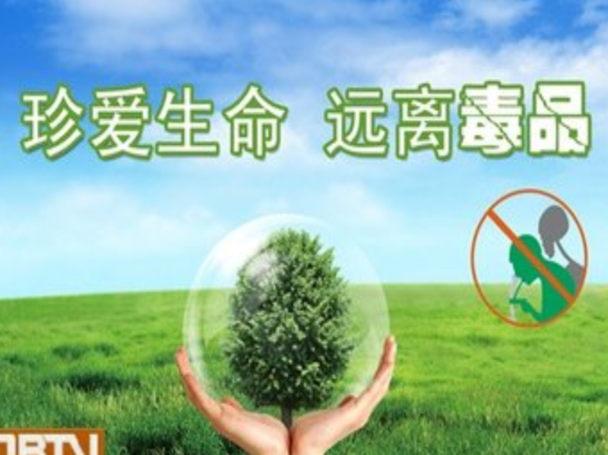 1. 自贡市禁毒宣传片拍摄公司的服务内容