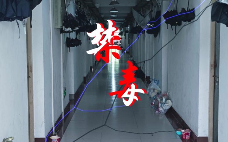 3. 如何选择合适的自贡市禁毒宣传片拍摄公司