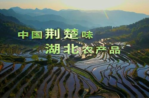 凉山农产品宣传片的重要性