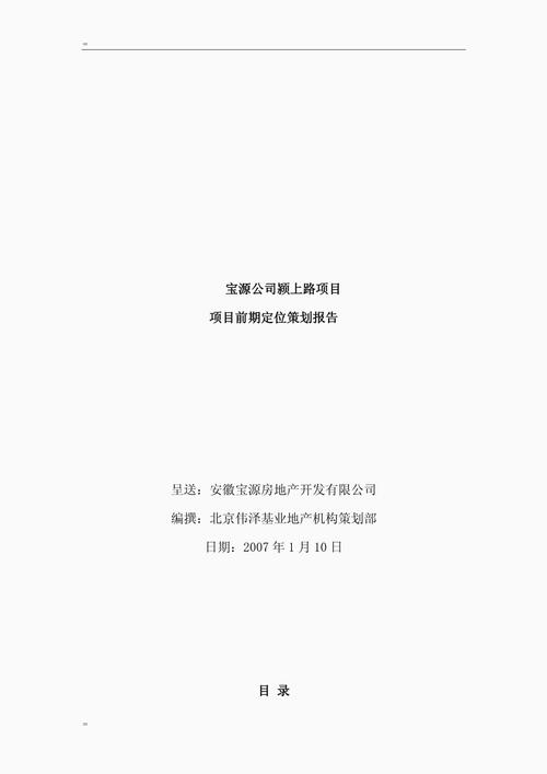 一、前期策划与定位