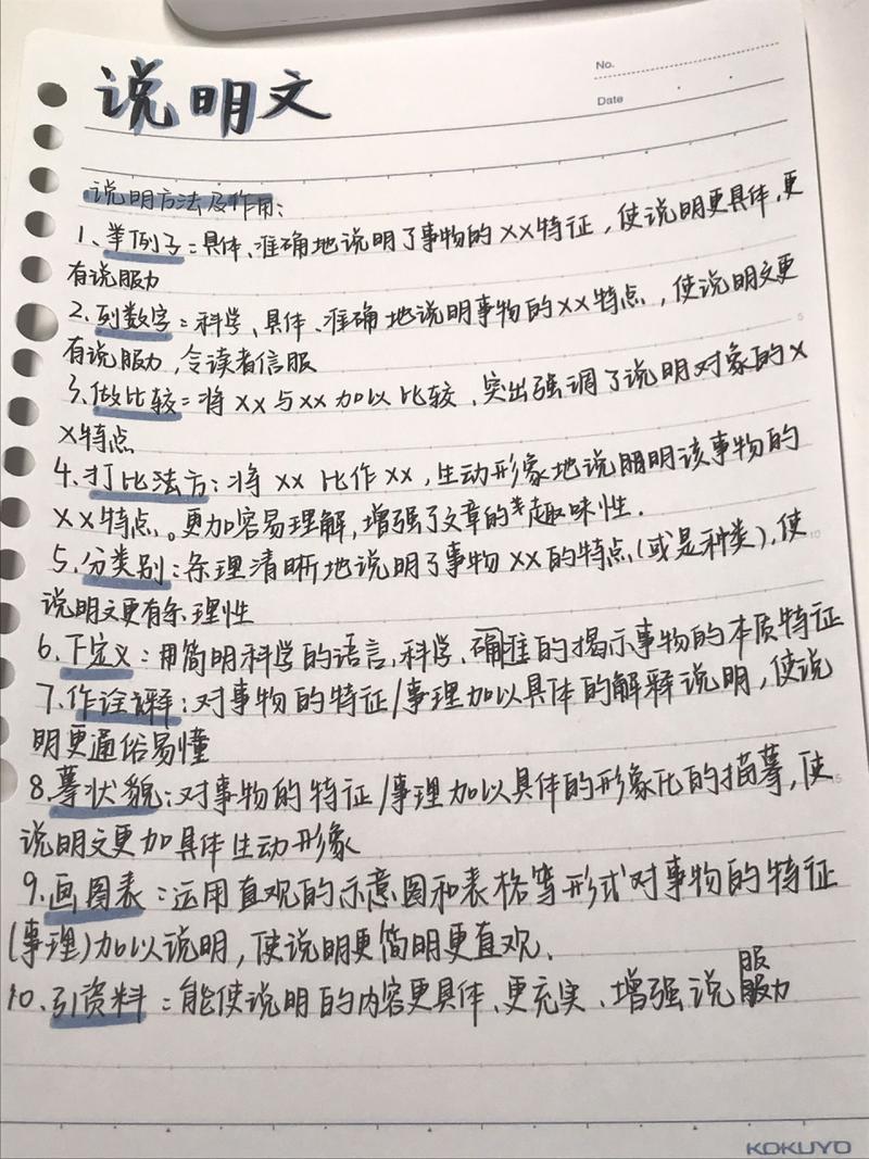 回答格式说明