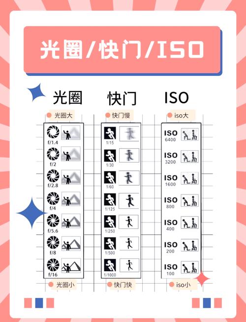 三、拍摄亮点建议