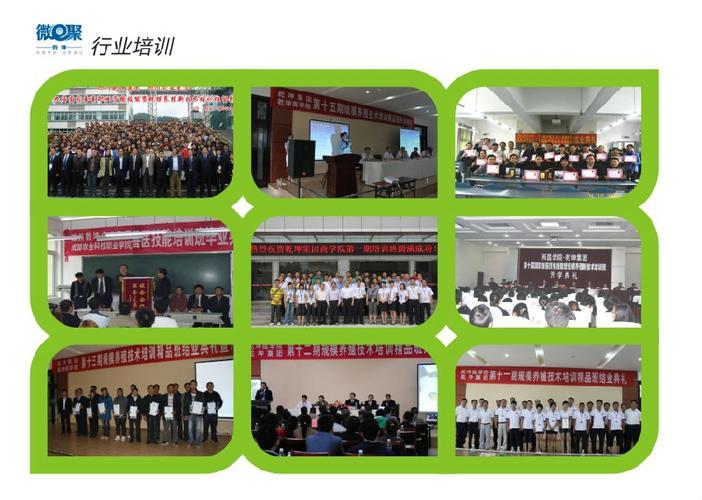 二、多维展示产品服务
