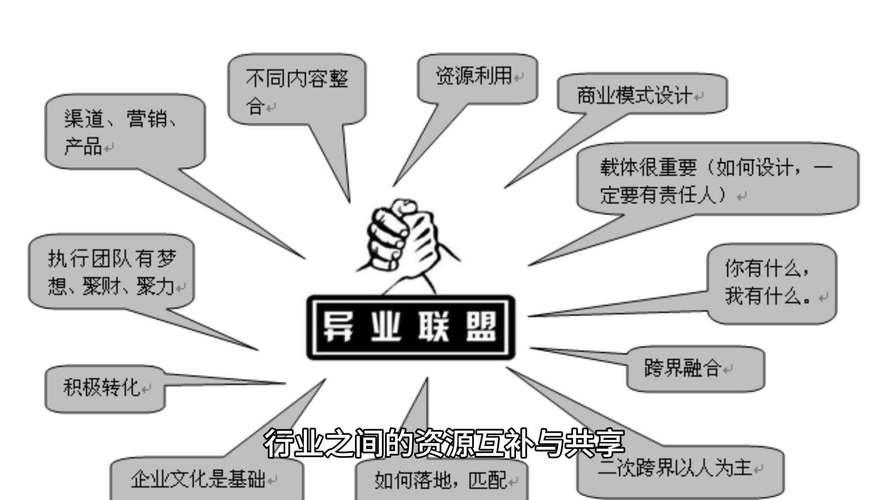 二、资源整合与传播能力
