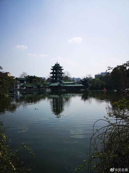 桂湖森林广场
