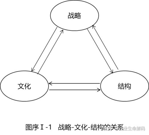 三、文化与战略模块
