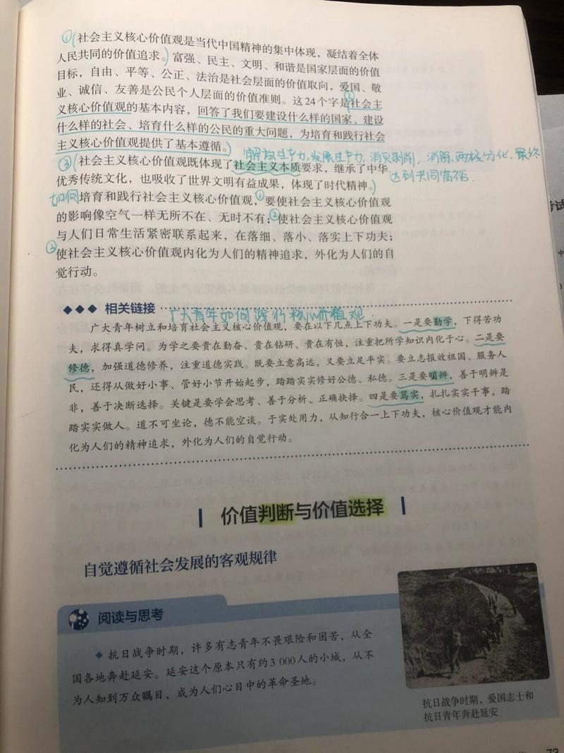 四、合作价值与选择建议