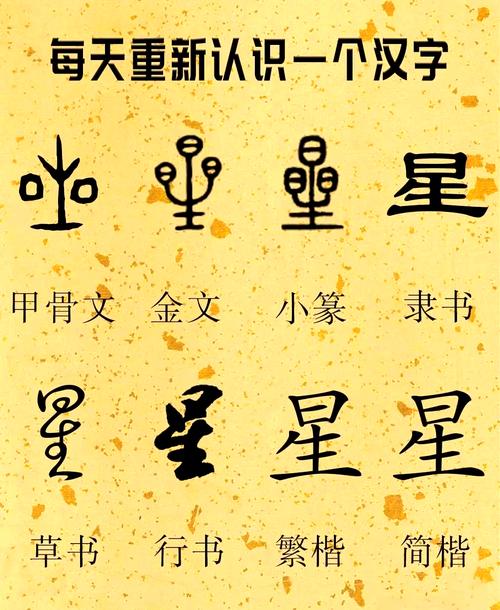 🌟 格式说明
