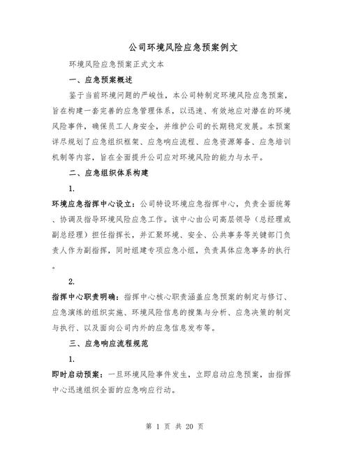 六、风险预案